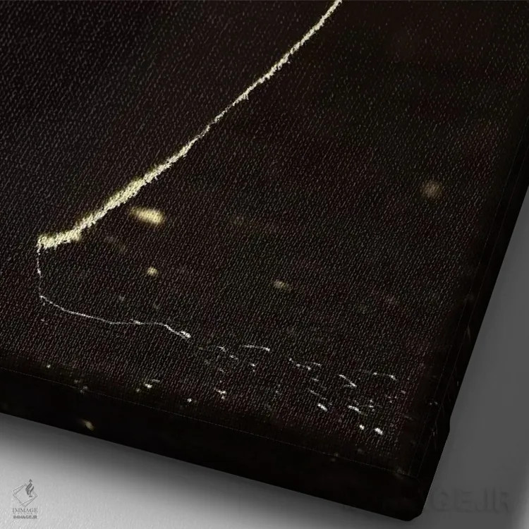 تابلو دکوراتیو جوجه پنگوئن جنتو با نور پشت اثر المر وایس - نمای نزدیک بافت بوم