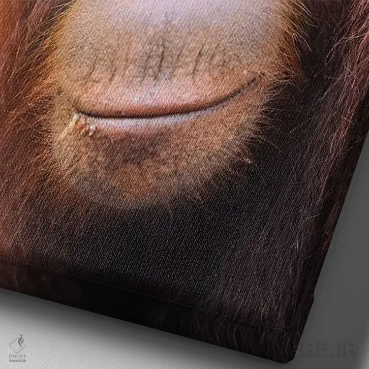 تابلو دکوراتیو پرتره اورانگوتان جوان اثر المر وایس - نمای نزدیک بافت بوم