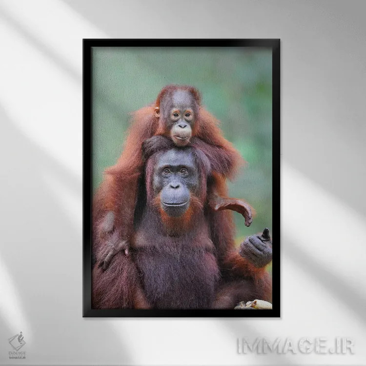 تابلو دکوراتیو کول سواری اثر المر وایس - نمای قابدار مشکی