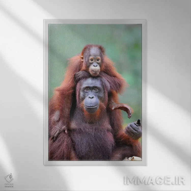 تابلو دکوراتیو کول سواری اثر المر وایس - نمای قابدار سفید