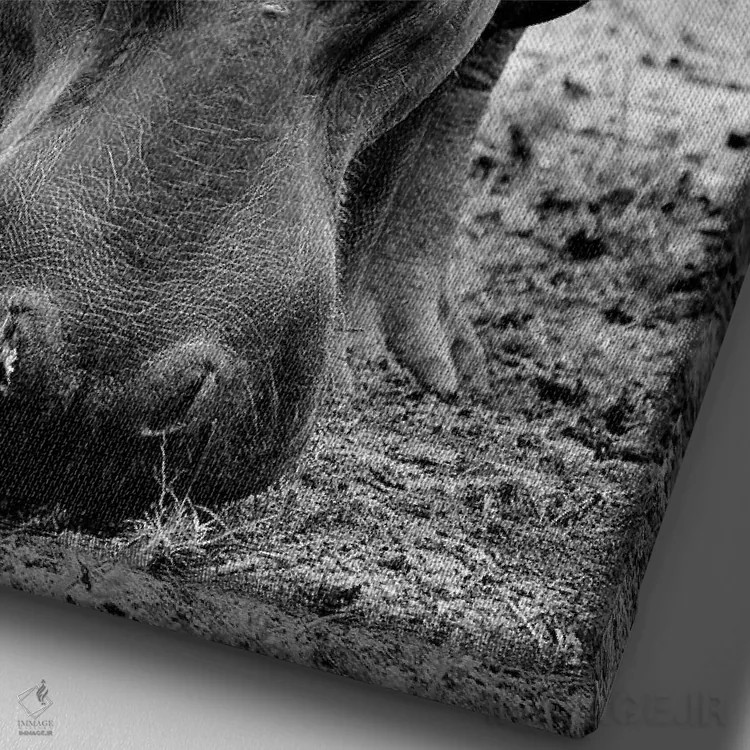 تابلو دکوراتیو اسب آبی در حال چرا اثر المر وایس - نمای نزدیک بافت بوم