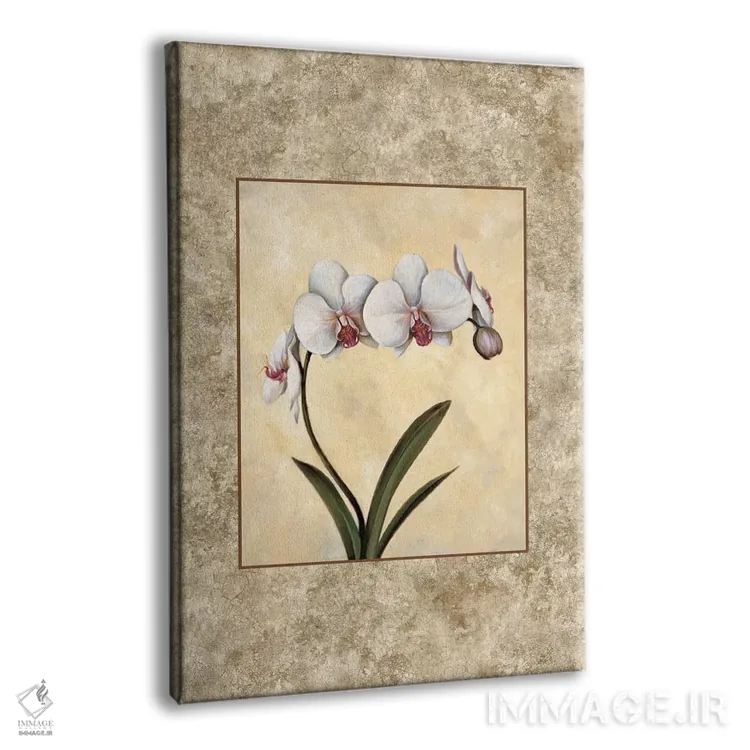 تابلو دکوراتیو کمال ۱ اثر ای. لوپز - نمای پرسپکتیو محصول