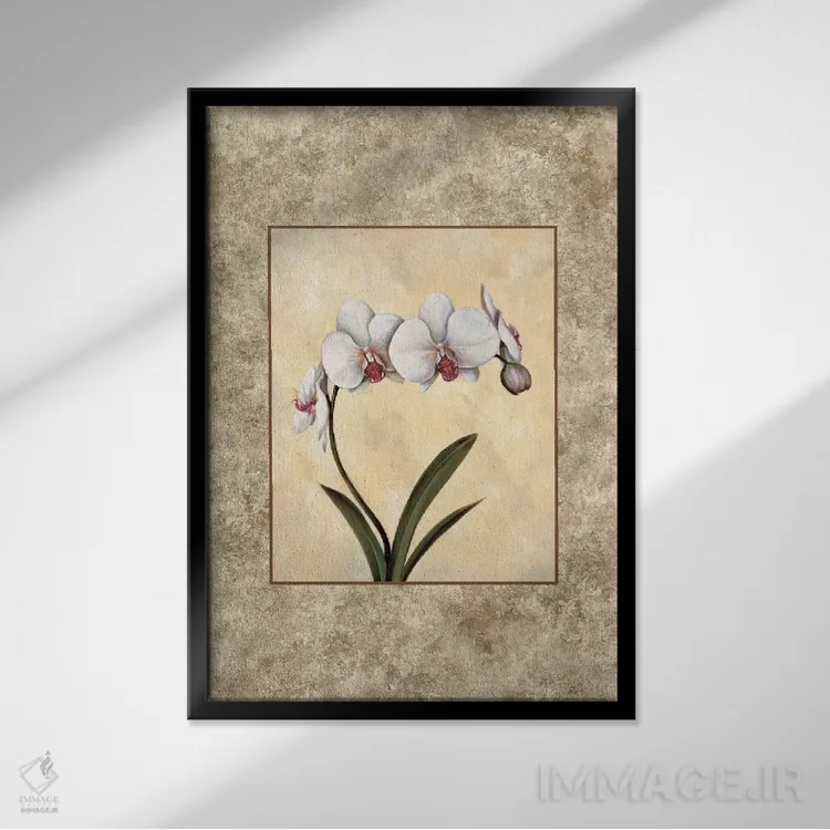 تابلو دکوراتیو کمال ۱ اثر ای. لوپز - نمای قابدار مشکی