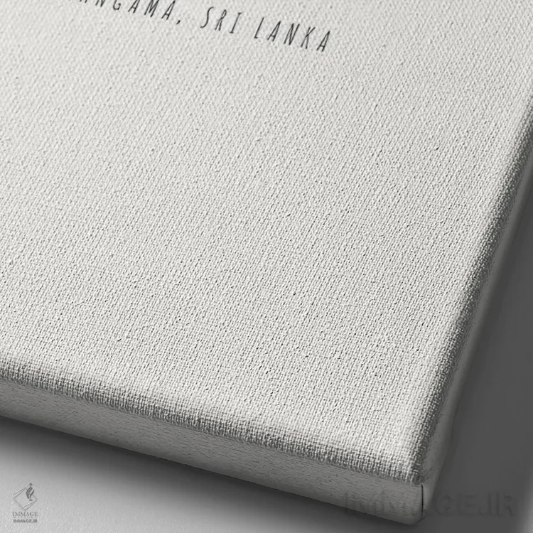 تابلو مینیمال "توک توک موج سواری آهانگاما، سریلانکا" اثر لایمن کریتیو کو. - نمای نزدیک بافت بوم