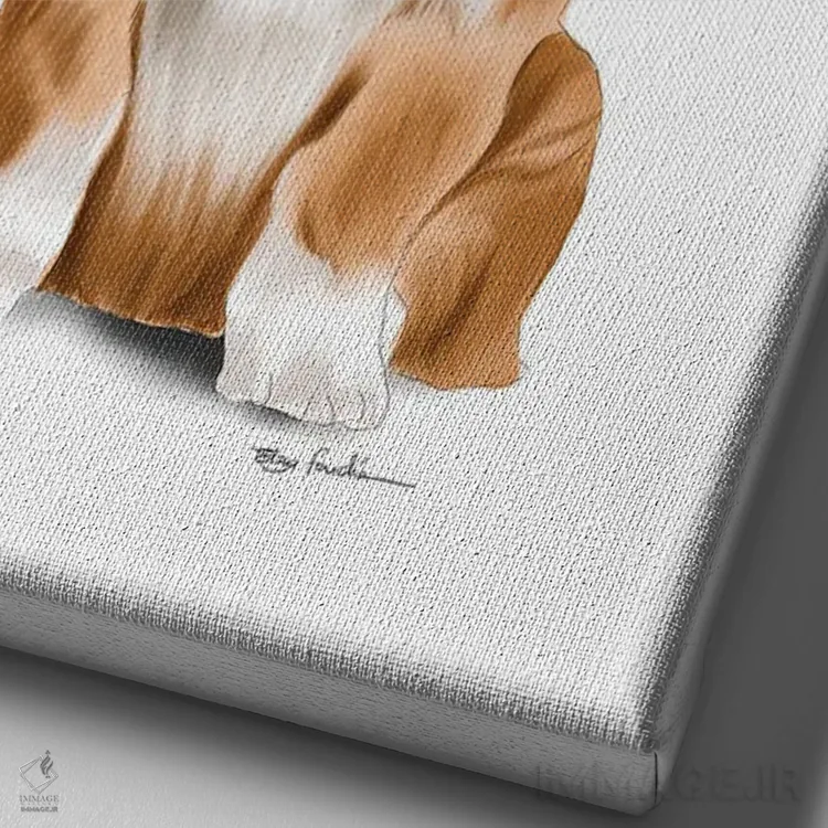 تابلو دکوراتیو کورگی اثر الزا فوچه - نمای نزدیک بافت بوم