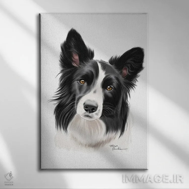 تابلو دکوراتیو بردر کولی اثر الزا فوچه - نمای روبهرو روی دیوار