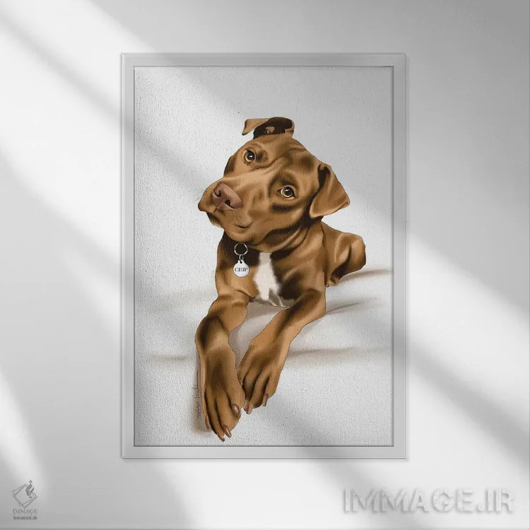 تابلو دکوراتیو استفی اثر الزا فوچه - نمای قابدار سفید