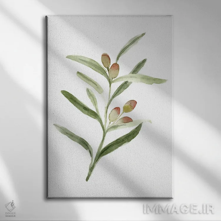 تابلو دکوراتیو شاخه زیتون شیرین ۲ اثر اما کارولین - نمای روبهرو روی دیوار