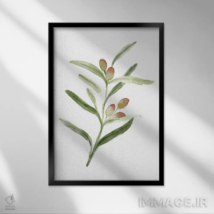 تابلو دکوراتیو شاخه زیتون شیرین ۲ اثر اما کارولین - نمای قابدار مشکی