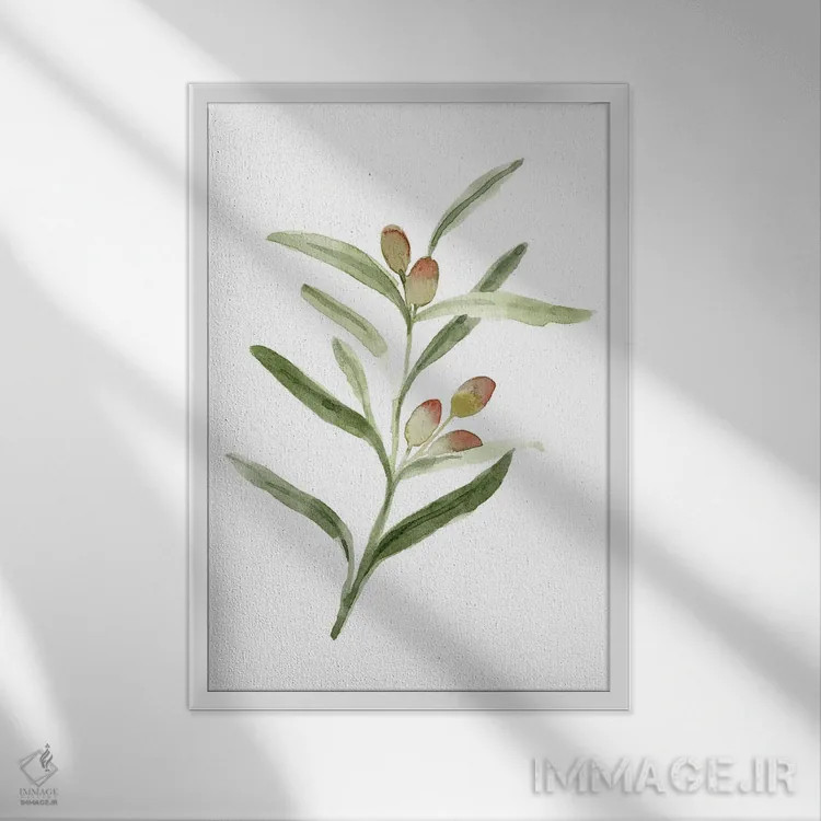 تابلو دکوراتیو شاخه زیتون شیرین ۲ اثر اما کارولین - نمای قابدار سفید
