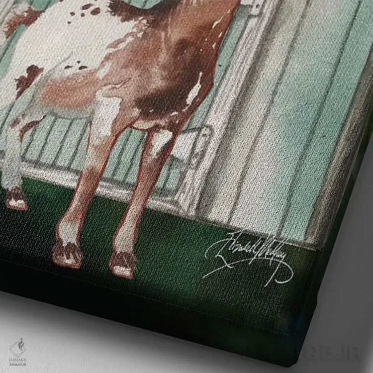 تابلو دکوراتیو آغل بز I اثر الیزابت مدلی - نمای نزدیک بافت بوم