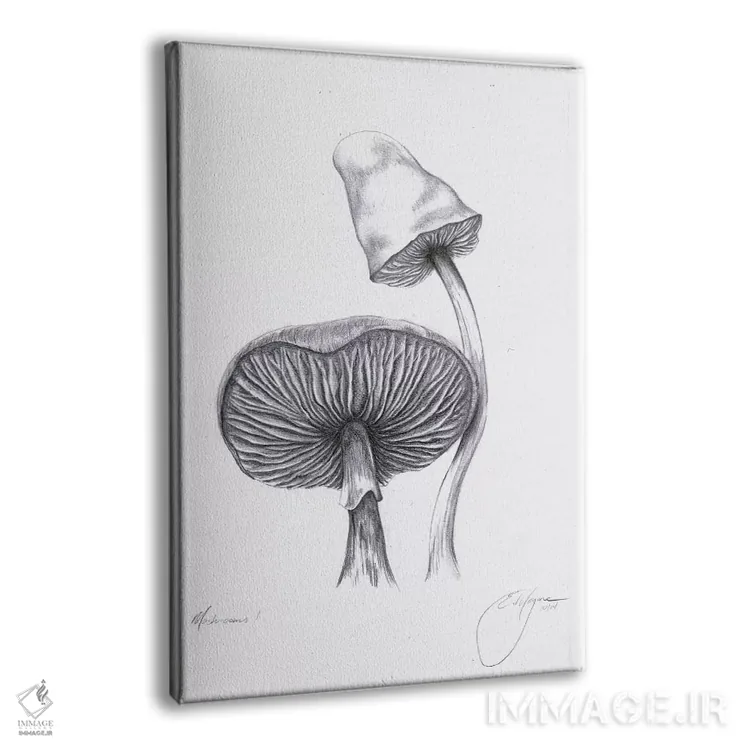 تابلو مدرن قارچ ها یک اثر امیلی ماگون - نمای پرسپکتیو محصول
