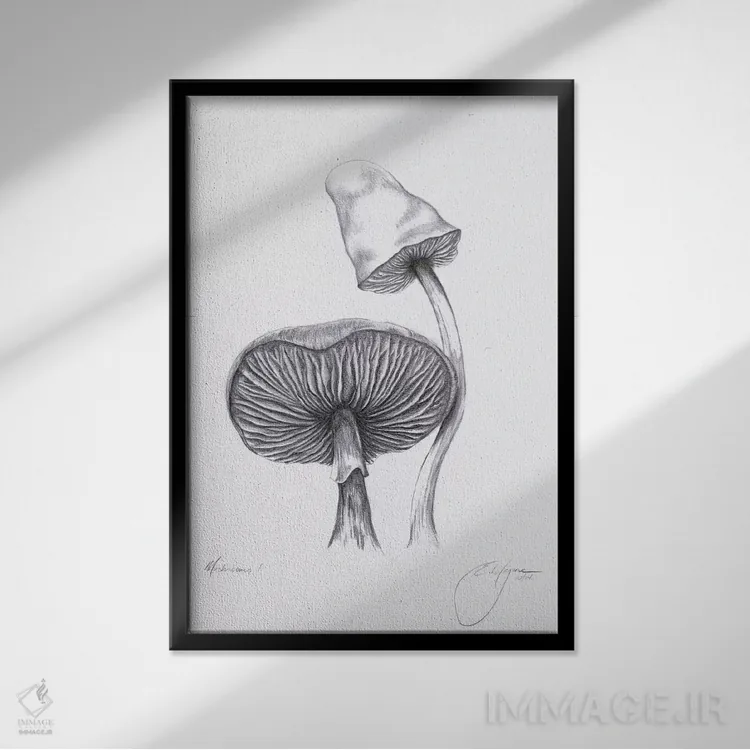 تابلو مدرن قارچ ها یک اثر امیلی ماگون - نمای قابدار مشکی