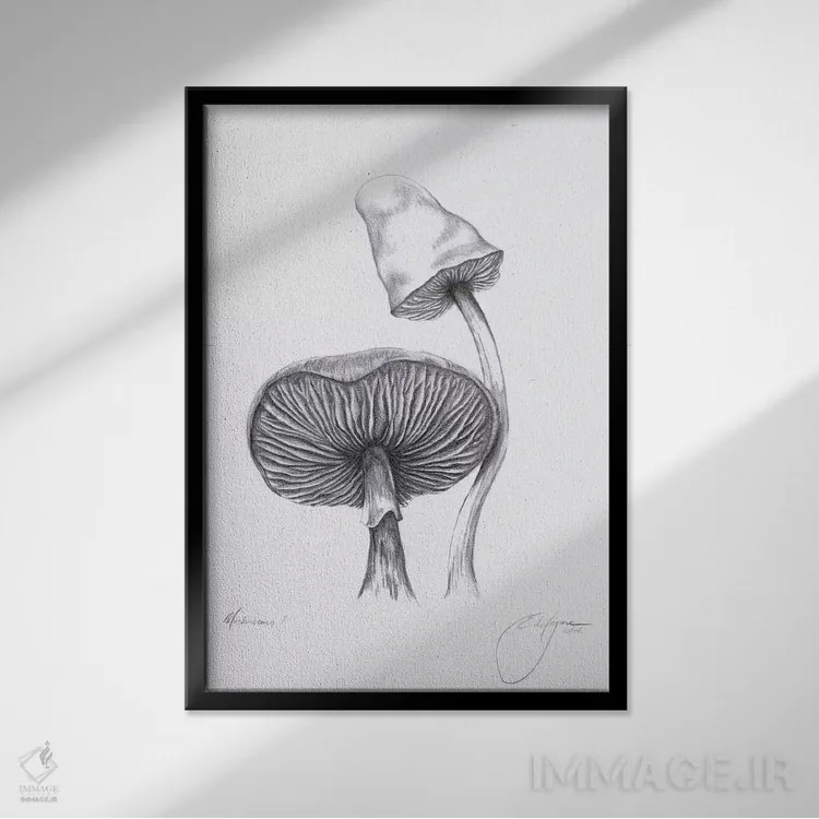 تابلو مدرن قارچ ها یک اثر امیلی ماگون - نمای قابدار مشکی