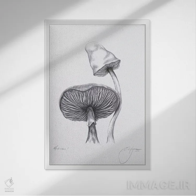 تابلو مدرن قارچ ها یک اثر امیلی ماگون - نمای قابدار سفید