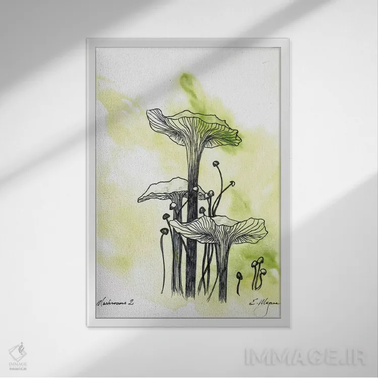 تابلو مدرن قارچ ها دو اثر امیلی ماگون - نمای قابدار سفید