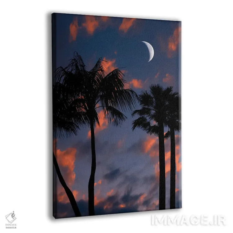 تابلو دکوراتیو شب گرمسیری اثر مانجیک پیکچرز - نمای پرسپکتیو محصول