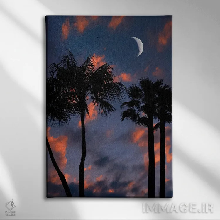 تابلو دکوراتیو شب گرمسیری اثر مانجیک پیکچرز - نمای روبهرو روی دیوار