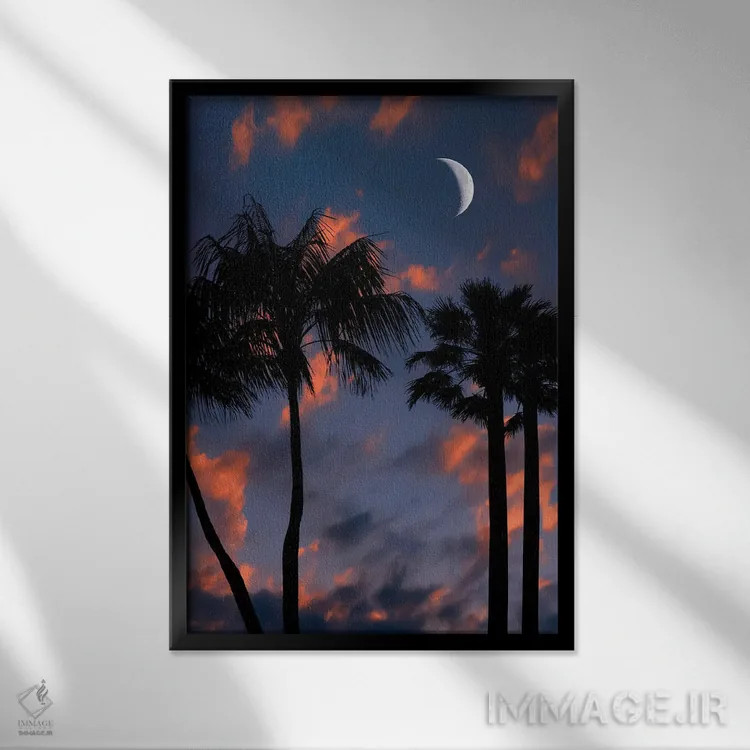 تابلو دکوراتیو شب گرمسیری اثر مانجیک پیکچرز - نمای قابدار مشکی