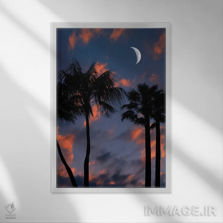 تابلو دکوراتیو شب گرمسیری اثر مانجیک پیکچرز - نمای قابدار سفید