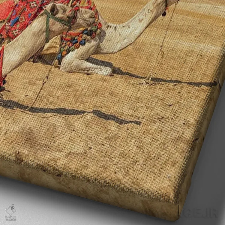 تابلو دکوراتیو نمای جیزه اثر مانجیک پیکچرز - نمای نزدیک بافت بوم