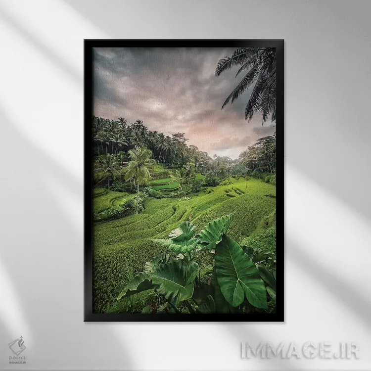 تابلو دکوراتیو غروب اوبود اثر مانجیک پیکچرز - نمای قابدار مشکی