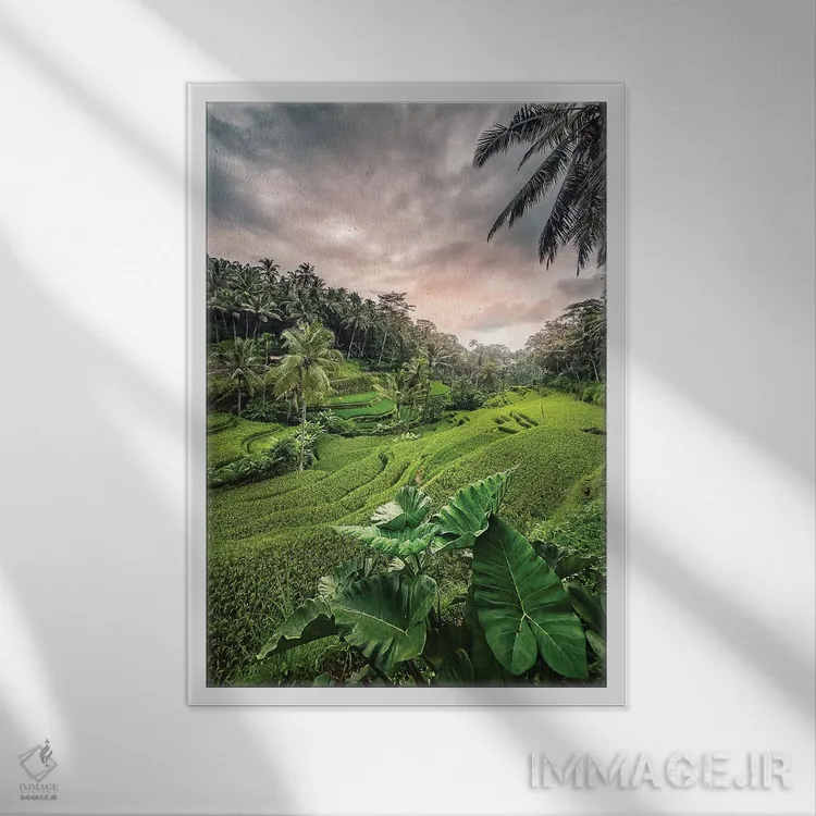 تابلو دکوراتیو غروب اوبود اثر مانجیک پیکچرز - نمای قابدار سفید