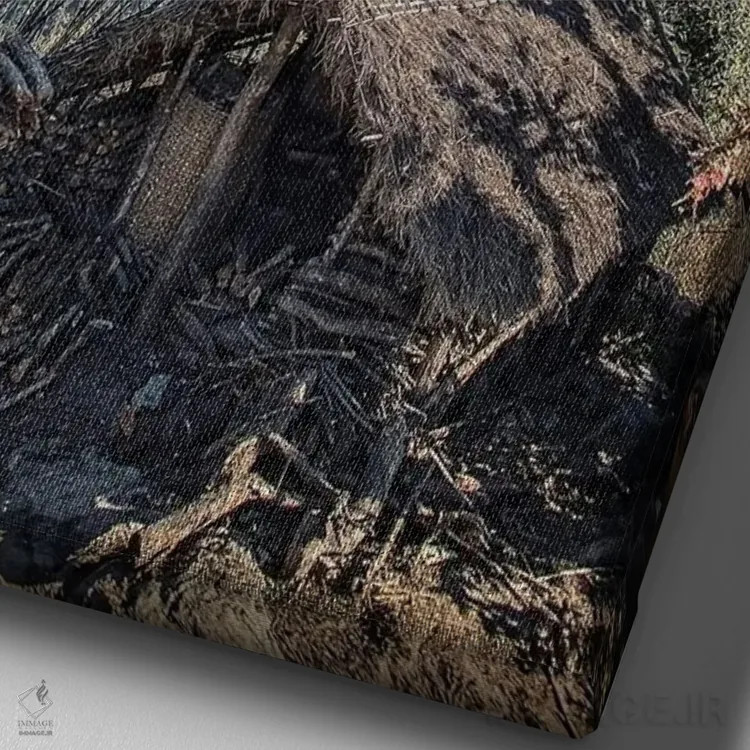 تابلو دکوراتیو هیمالیا اثر مانجیک پیکچرز - نمای نزدیک بافت بوم