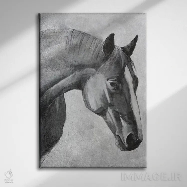 تابلو مدرن کوالو ۱ اثر اما اسکاروی - نمای روبهرو روی دیوار