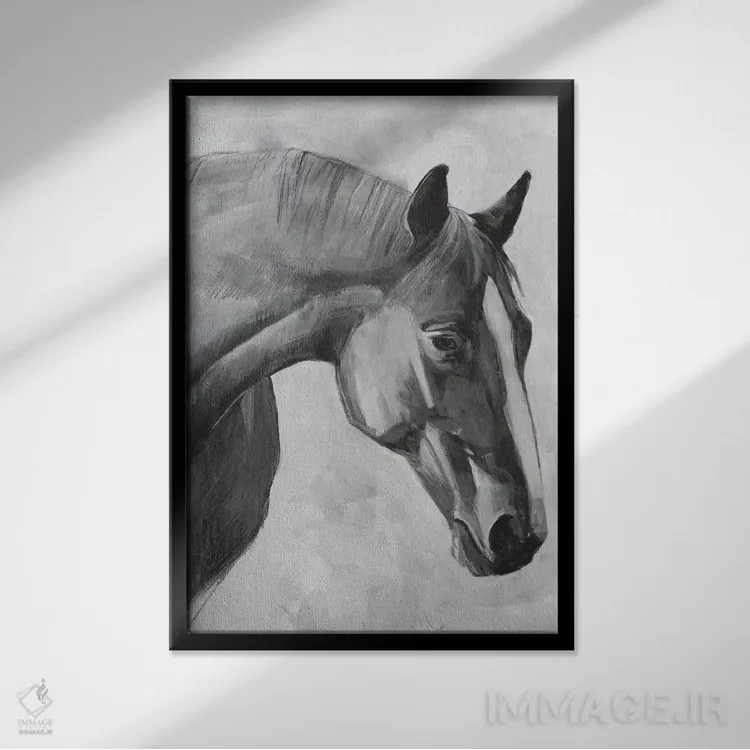 تابلو مدرن کوالو ۱ اثر اما اسکاروی - نمای قابدار مشکی