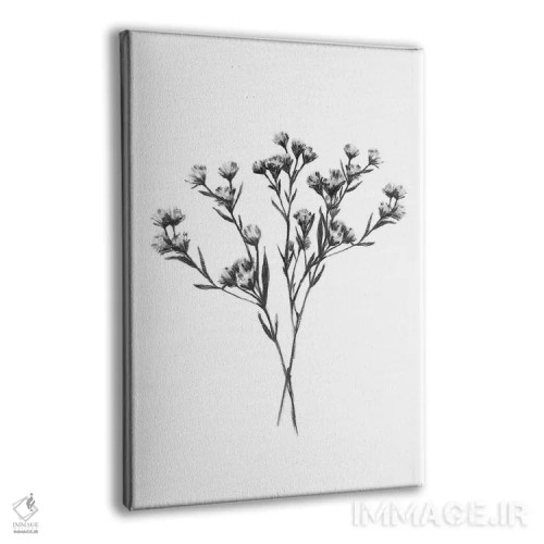 تابلو مینیمال دسته چاتری وحشی ۲ اثر اما اسکاروی - نمای پرسپکتیو محصول