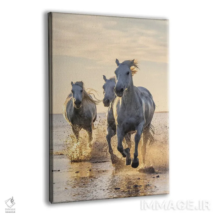 تابلو دکوراتیو Provence-Alpes-Cote D'Azur, France. Camargue Horses Run… اثر امیلی ام ویلسون - نمای پرسپکتیو محصول