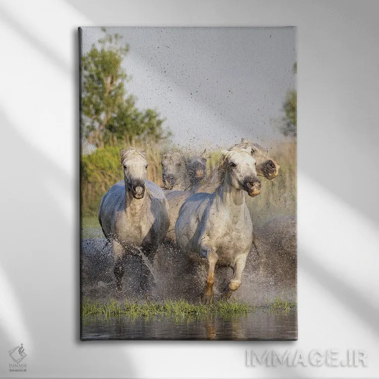 تابلو دکوراتیو Provence-Alpes-Cote D'Azur, France. Horses Running Thro… اثر امیلی ام ویلسون - نمای روبهرو روی دیوار