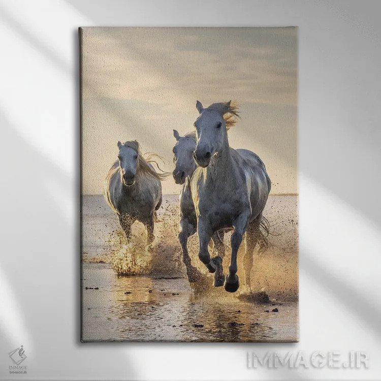 تابلو دکوراتیو Provence-Alpes-Cote D'Azur, France. Camargue Horses Run… اثر امیلی ام ویلسون - نمای روبهرو روی دیوار
