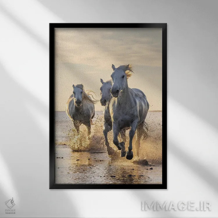 تابلو دکوراتیو Provence-Alpes-Cote D'Azur, France. Camargue Horses Run… اثر امیلی ام ویلسون - نمای قابدار مشکی