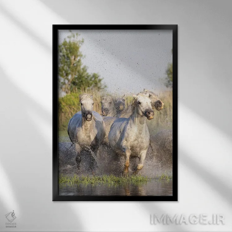 تابلو دکوراتیو Provence-Alpes-Cote D'Azur, France. Horses Running Thro… اثر امیلی ام ویلسون - نمای قابدار مشکی
