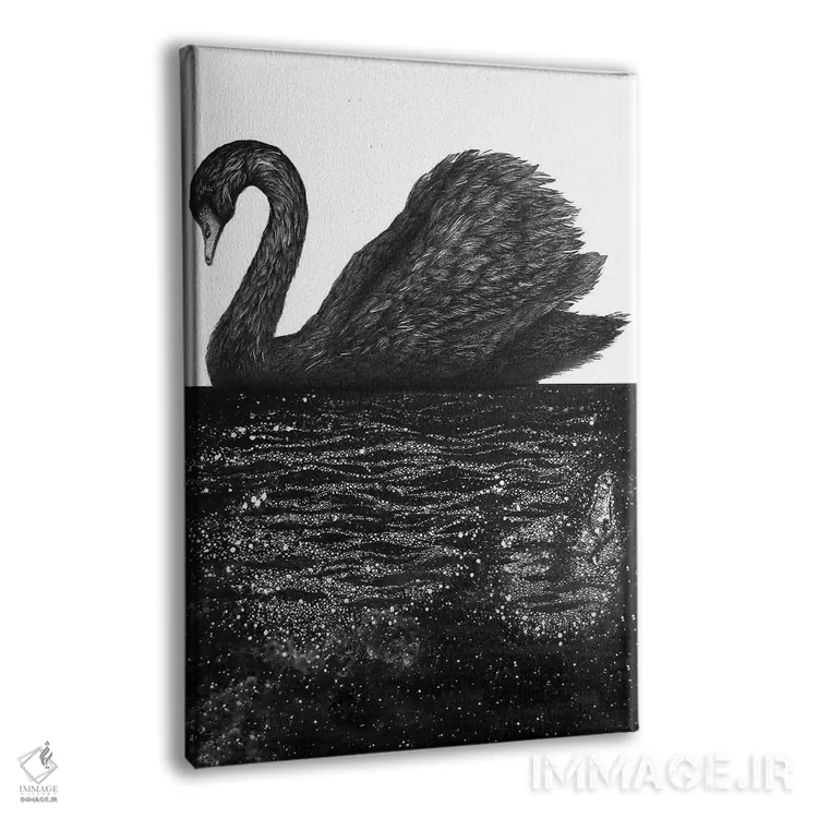 تابلو دکوراتیو سوی دیگر اثر الا مازور - نمای پرسپکتیو محصول