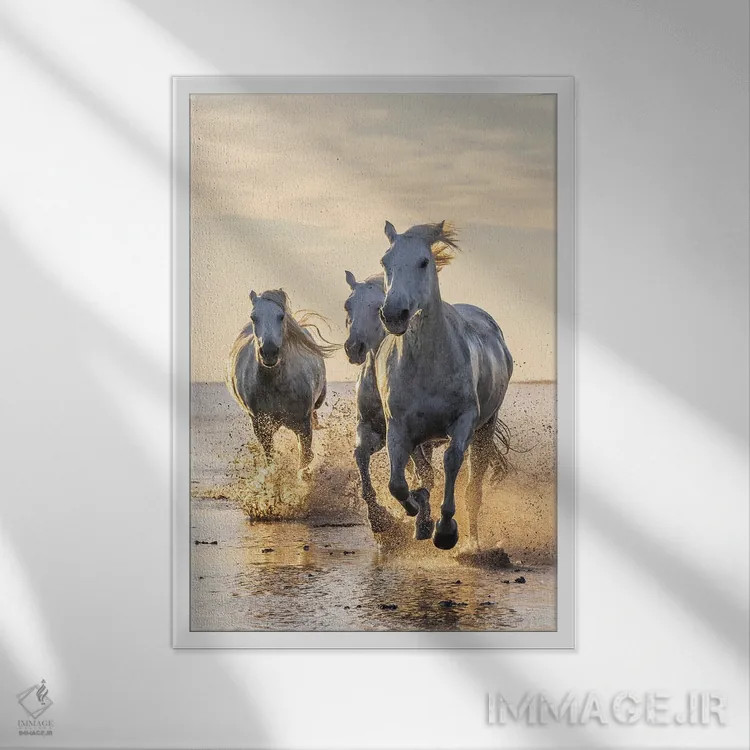 تابلو دکوراتیو Provence-Alpes-Cote D'Azur, France. Camargue Horses Run… اثر امیلی ام ویلسون - نمای قابدار سفید