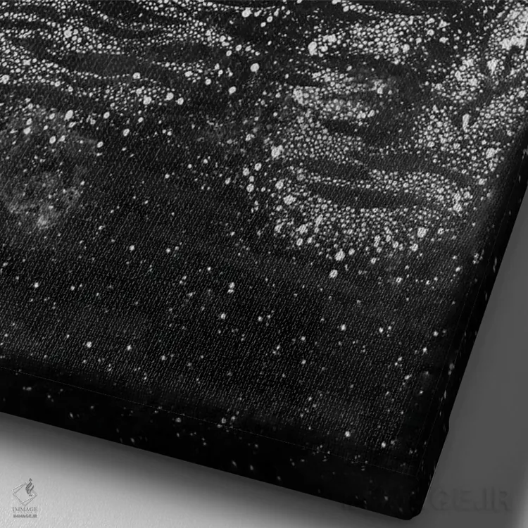 تابلو دکوراتیو سوی دیگر اثر الا مازور - نمای نزدیک بافت بوم