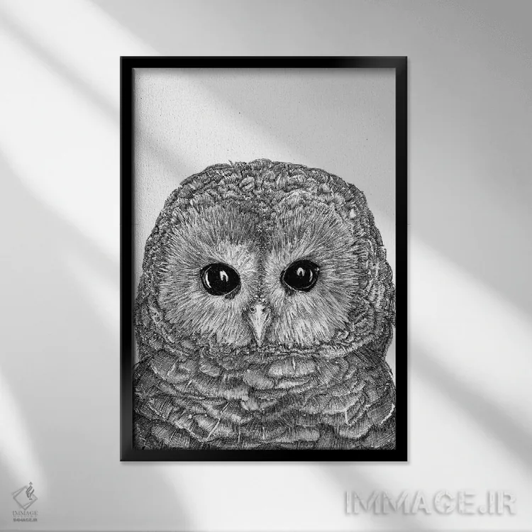 تابلو دکوراتیو جغد کوچولو اثر الا مازور - نمای قابدار مشکی