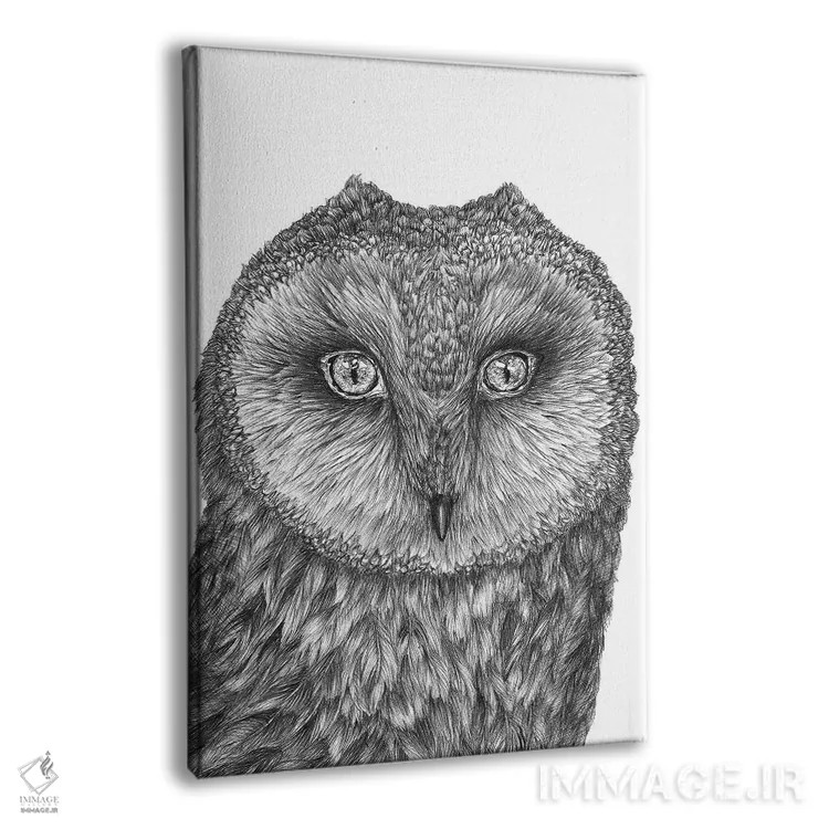 تابلو دکوراتیو جغد کوچک انباری اثر الا مازور - نمای پرسپکتیو محصول