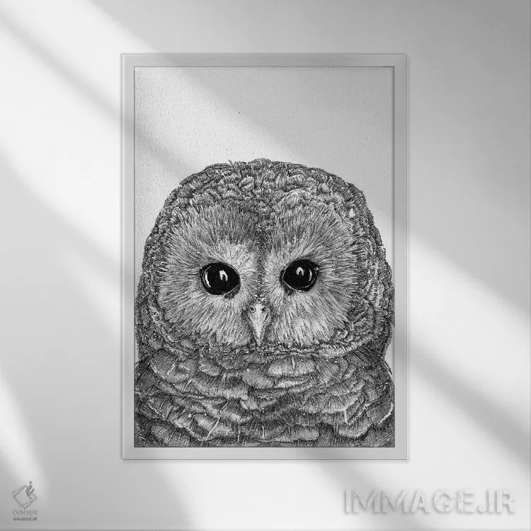 تابلو دکوراتیو جغد کوچولو اثر الا مازور - نمای قابدار سفید