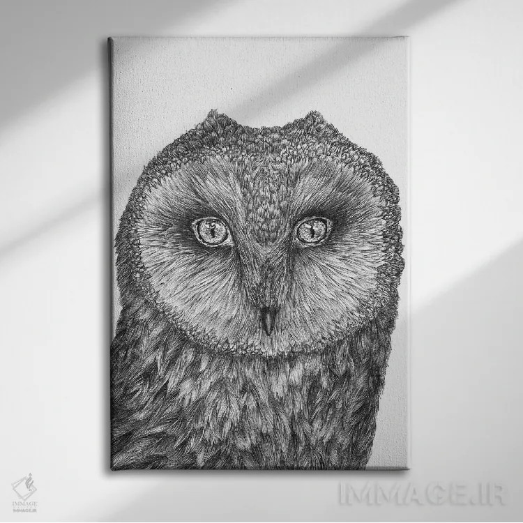 تابلو دکوراتیو جغد کوچک انباری اثر الا مازور - نمای روبهرو روی دیوار