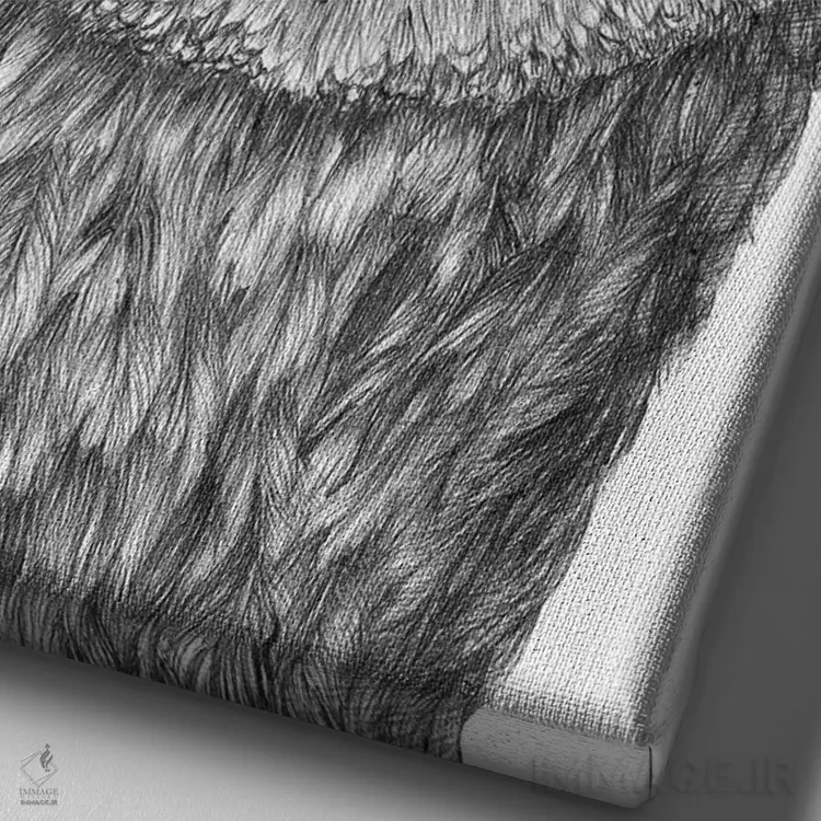 تابلو دکوراتیو جغد کوچک انباری اثر الا مازور - نمای نزدیک بافت بوم