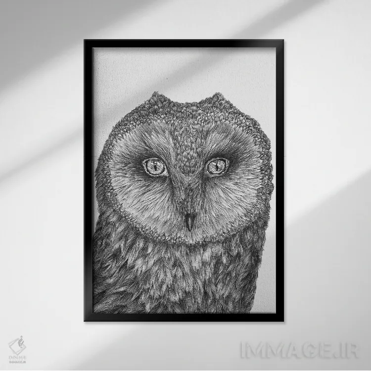 تابلو دکوراتیو جغد کوچک انباری اثر الا مازور - نمای قابدار مشکی