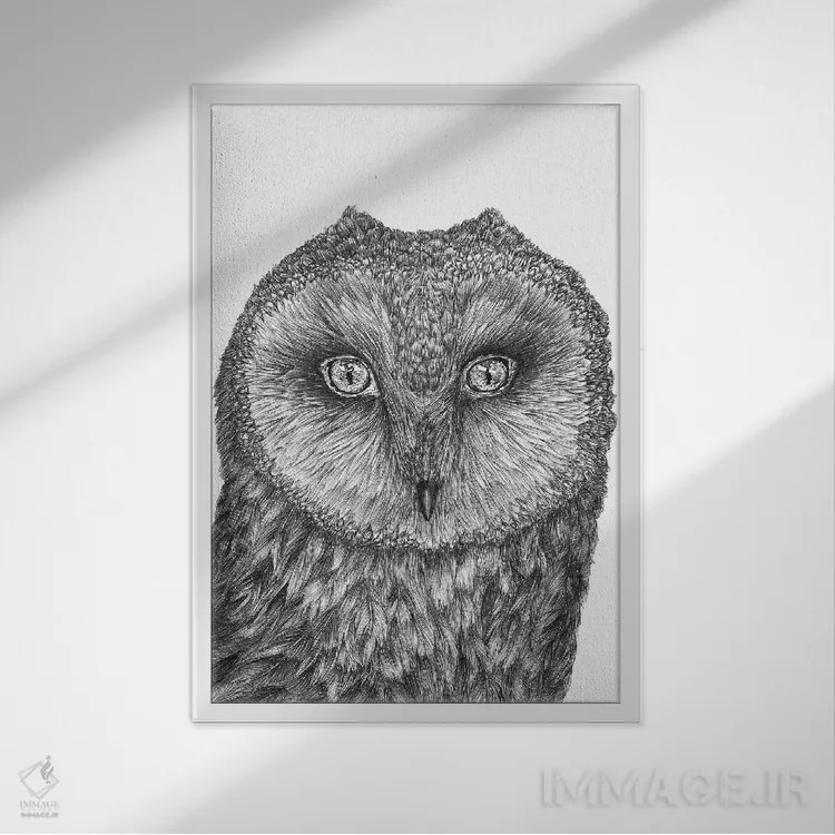 تابلو دکوراتیو جغد کوچک انباری اثر الا مازور - نمای قابدار سفید