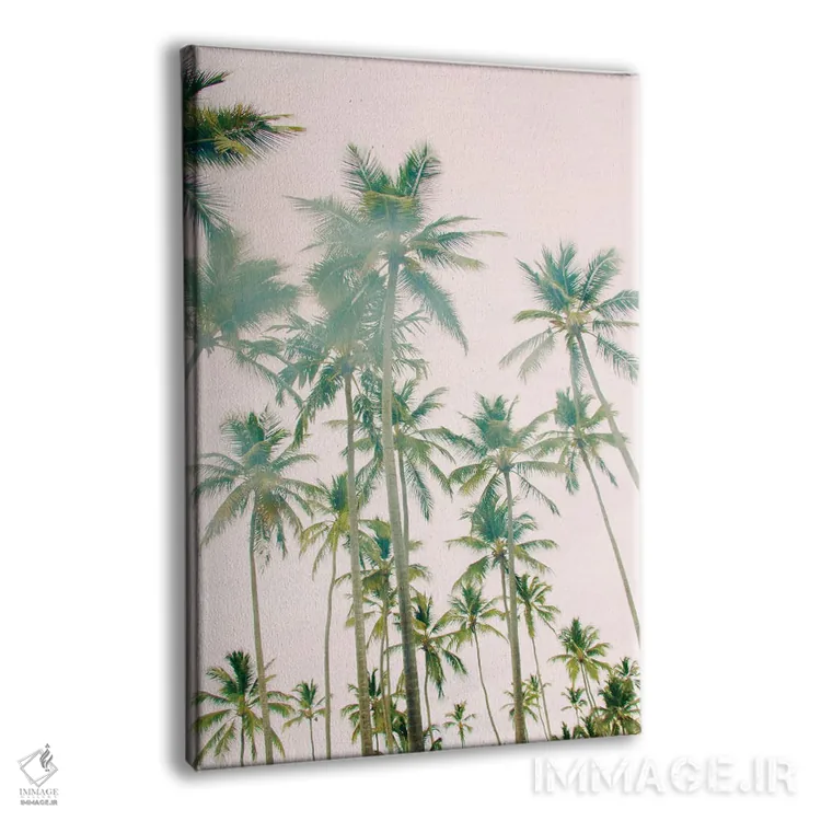 تابلو دکوراتیو جزیره نخل اثر امیلی ناواس - نمای پرسپکتیو محصول