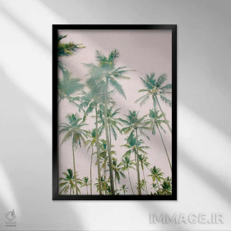 تابلو دکوراتیو جزیره نخل اثر امیلی ناواس - نمای قابدار مشکی
