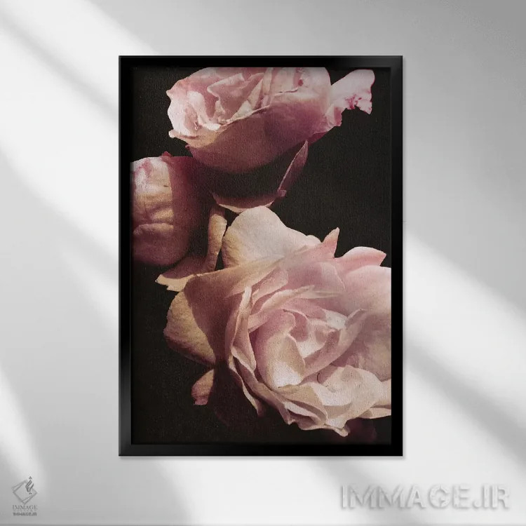 تابلو دکوراتیو دسته گل تنها II اثر امیلی ناواس - نمای قابدار مشکی