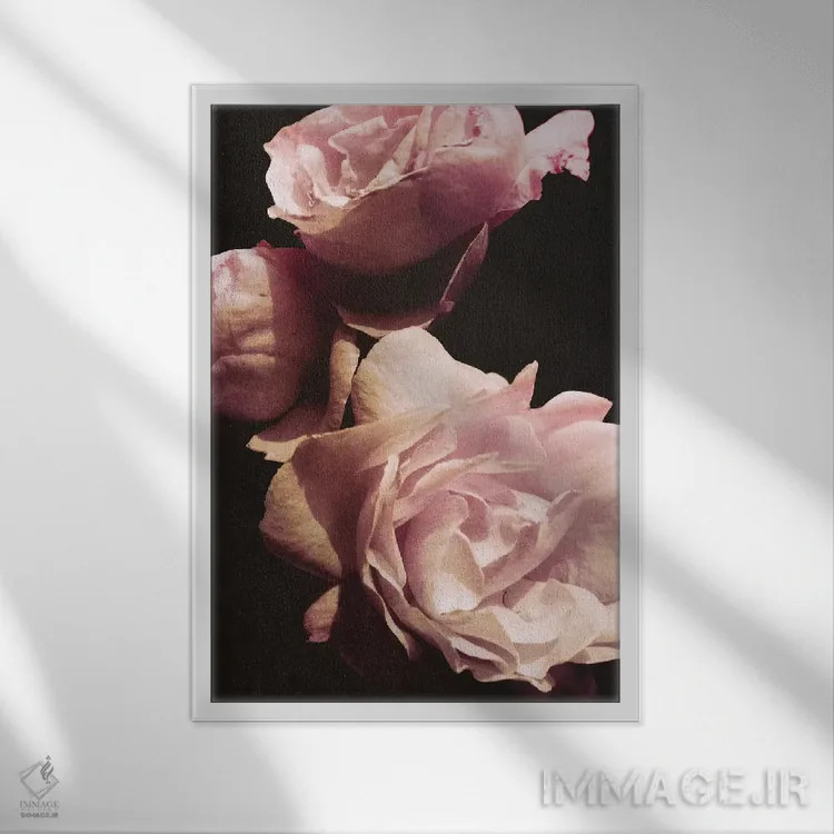 تابلو دکوراتیو دسته گل تنها II اثر امیلی ناواس - نمای قابدار سفید